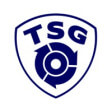 tsggroup logo